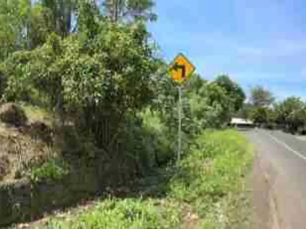 DIJUAL CEPAT TANAH SANGAT STRATEGIS DAERAH WORI, HARGA SANGAT MURAH