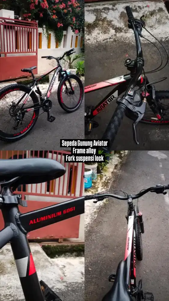 Sepeda Gunung Aviator