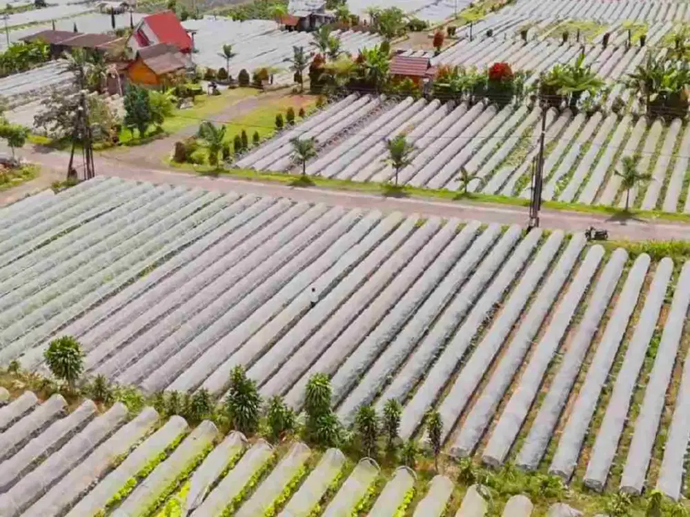 Tanah PREMIUM 200 mtr  ke Danau Bedugul