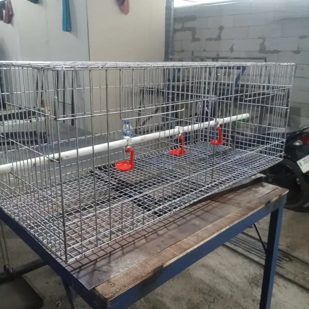 Kandang ayam lengkap dengan aksesoris nya