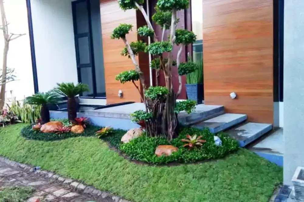Pembuatan taman rumah/pasang rumput taman