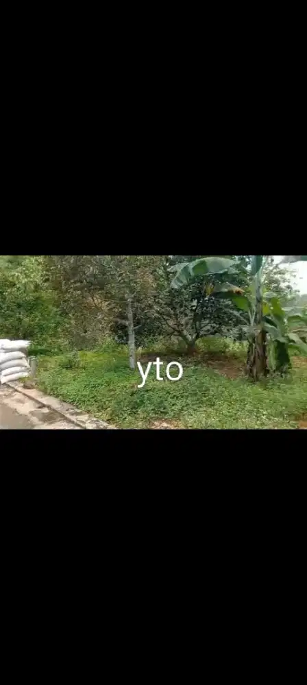 Jual kebun durian dan alpokat lokasi Jumantono lt 3665m hrg 500jt nego