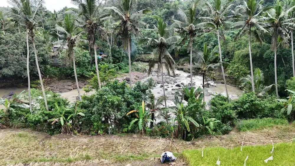 Jual tanah los sungai besar di tabanan bali