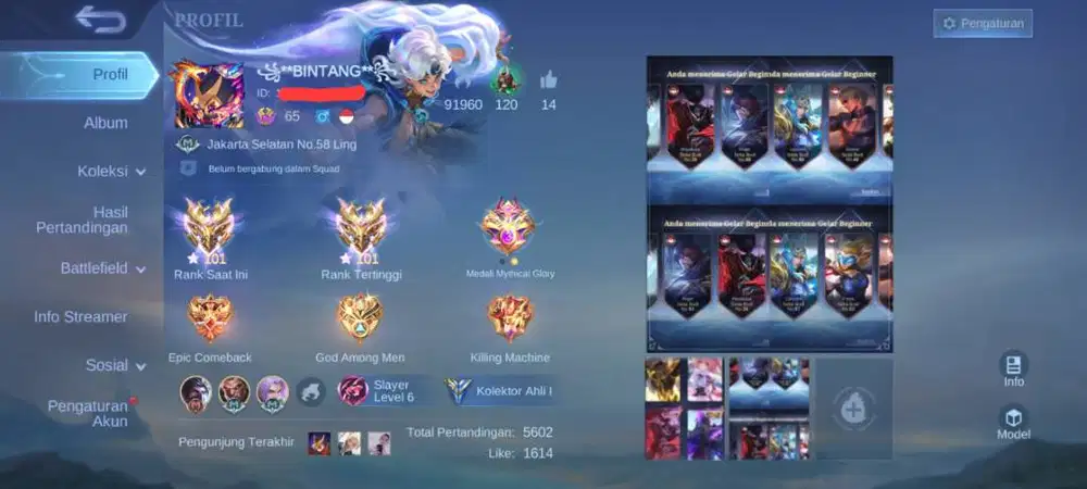 Akun smurf, pemakaian pribadi