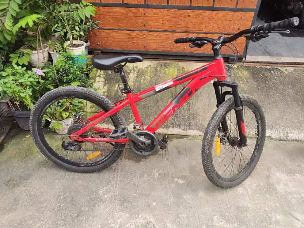 Sepeda MTB Genio M34Z