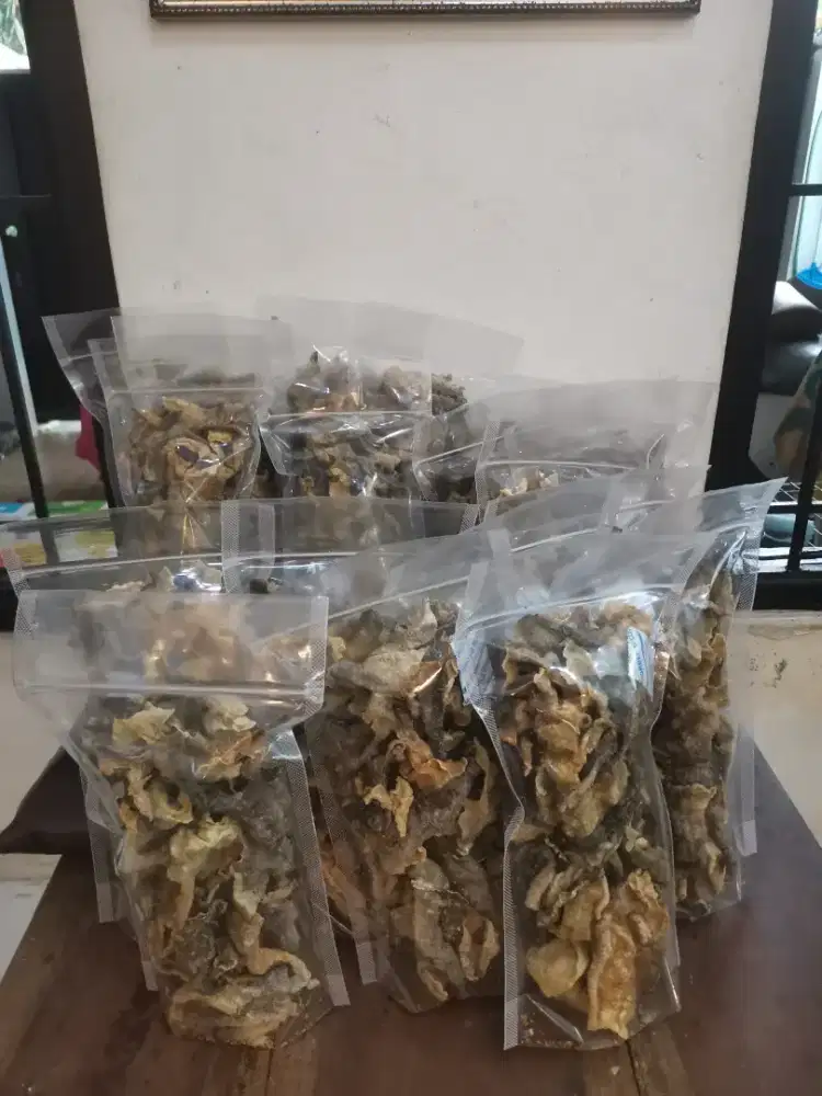 Krupuk kulit ikan salmon