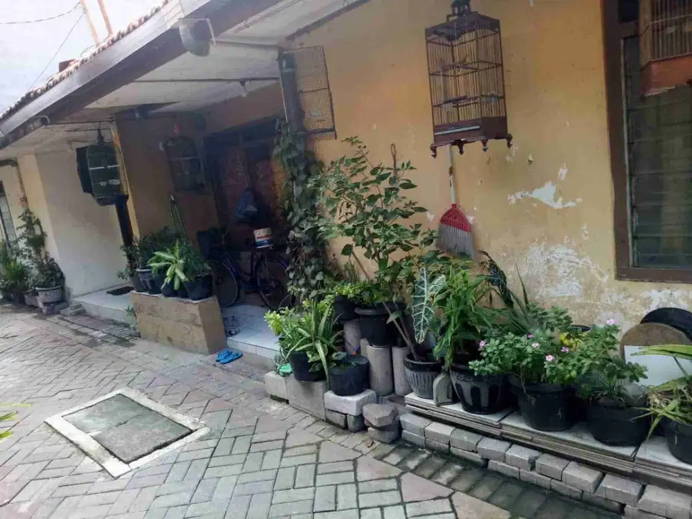 Rumah Murah siap Huni di Siwalankerto, Sby Selatan