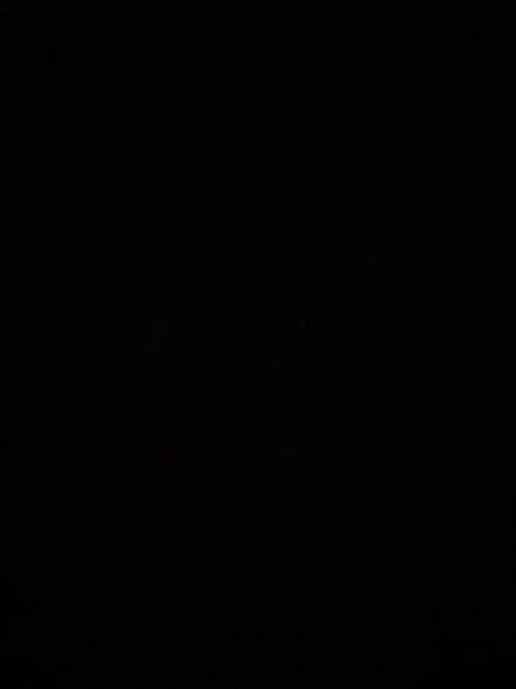 ART Harian pulang pergi