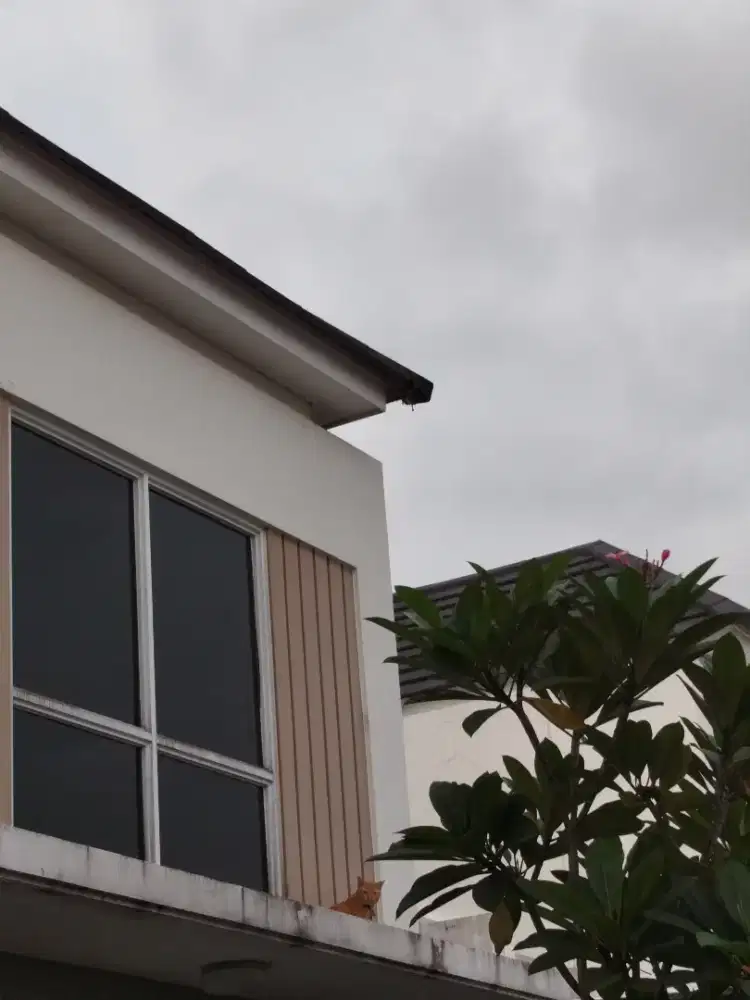 Dicari ART PP curug tangerang