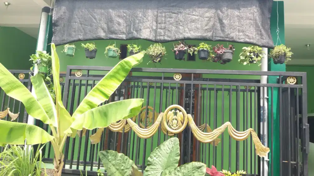 Di sewekan rumah minimalis