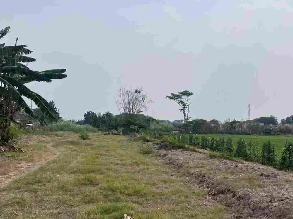 Tanah Arteri Porong Sidoarjo