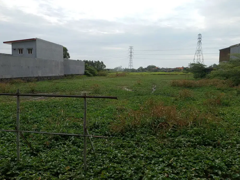 DIJUAL TANAH SAWAH bypass Krian