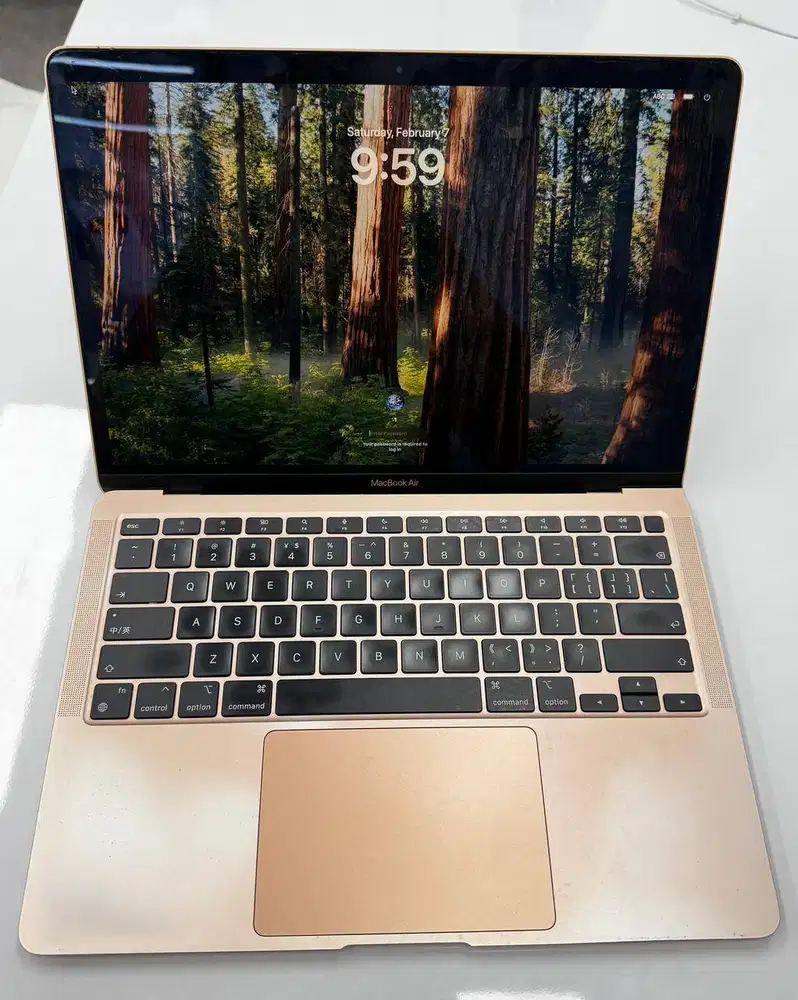 MacBook Air 2020 M1 [8/256GB]