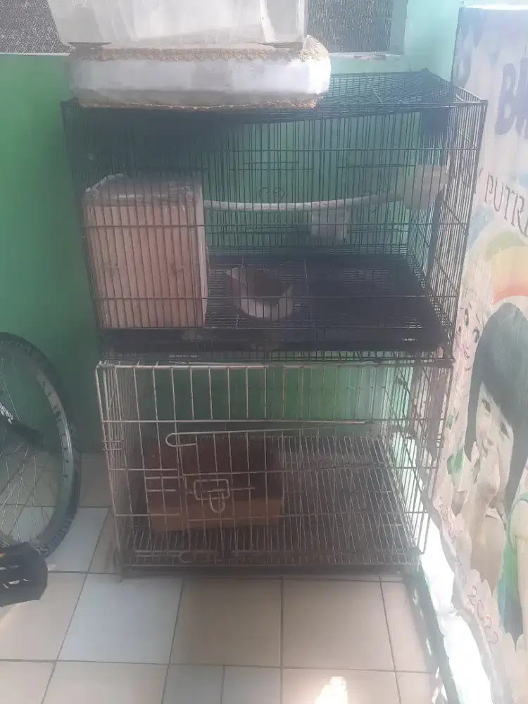 Kandang kucing & kandang burung