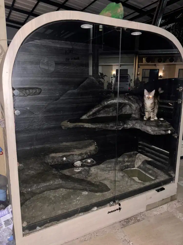 Rumah Kucing premium (Petoorium) - JUAL RUGI