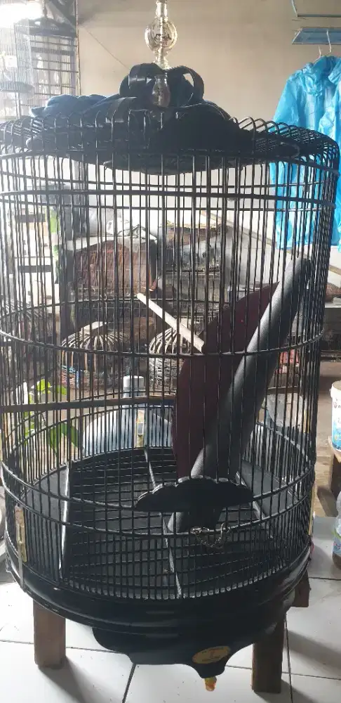 Kandang burung murai BNR reborn tebok pvc nomor 2