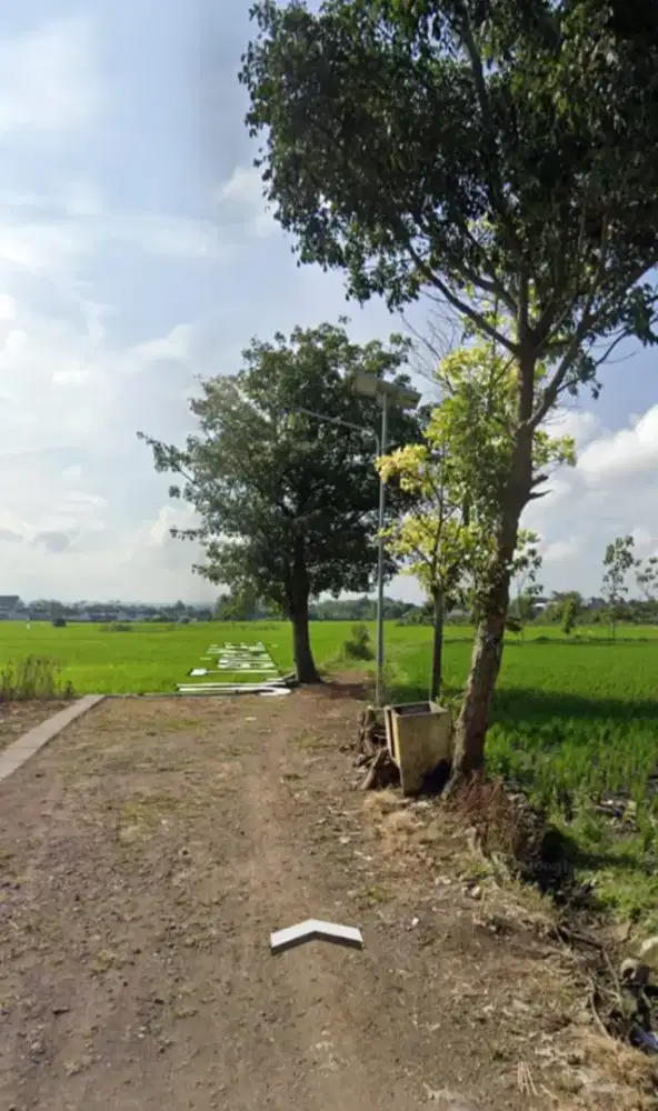 Tanah Murah Tasikmadu Cocok Untuk Pertanian Atau Untuk Perumahan