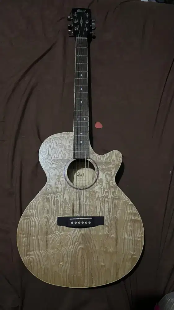 Cort akustik elektrik