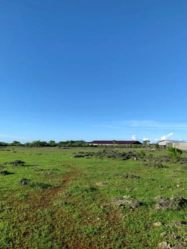 Jual Tanah Kota Kupang