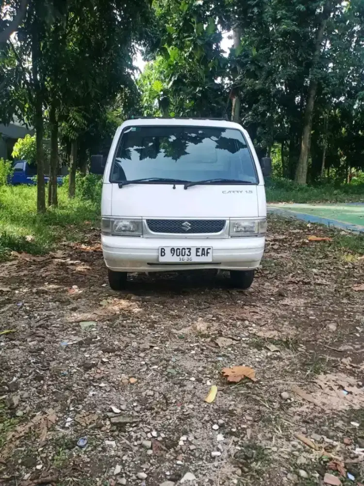 Carry Futura pick up 2015