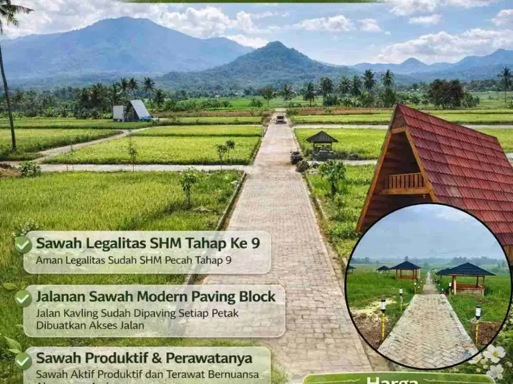 golgen view sawah produktif