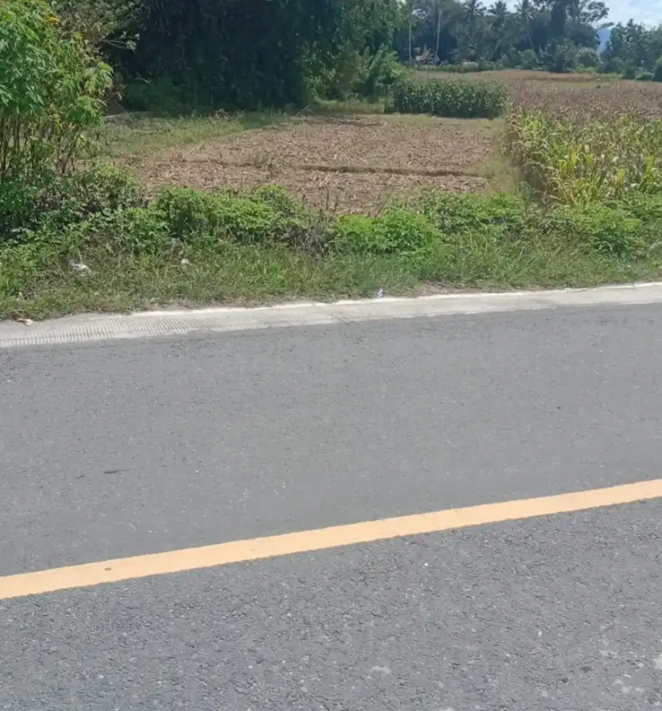 Dijual tanpa perantara!! Lokasi strategis tepat dipinggir jalan raya