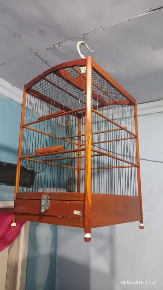 Kandang masih bagus fiber