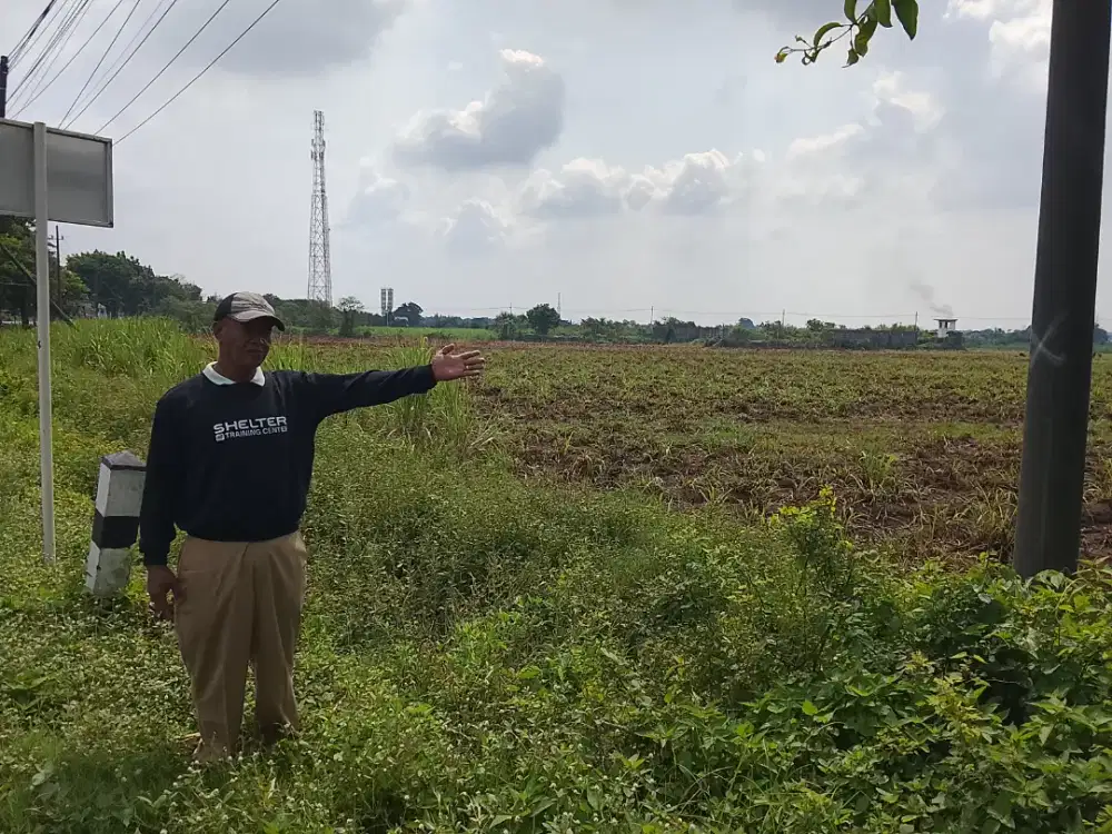 Di Jual Lahan seluas 5 Ha