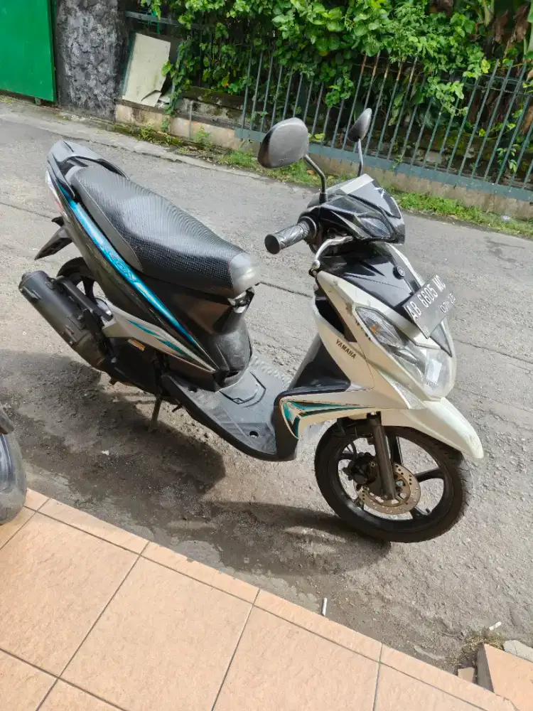 Xeon THN 2010 plat AB kulon Progo