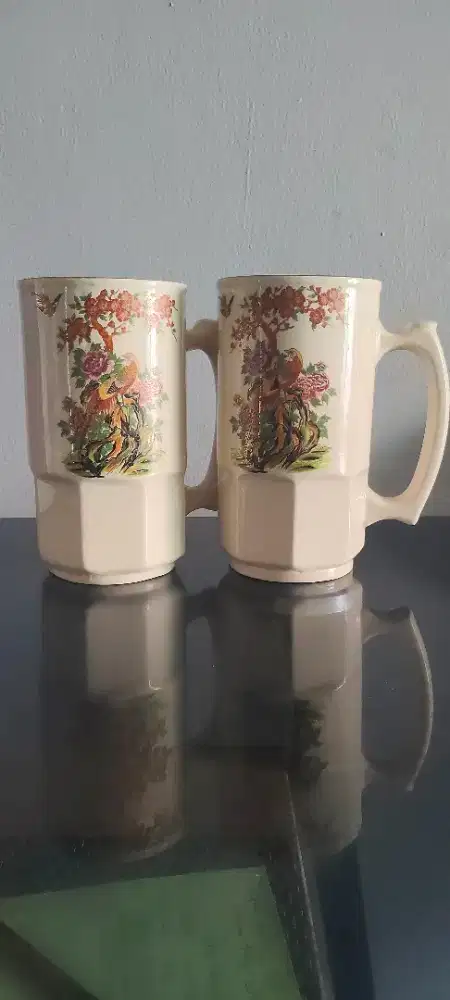 Toyoki Japan Mug Couple Peacock / Merak