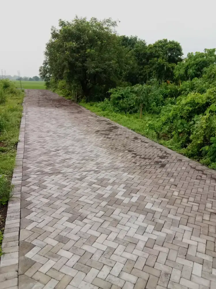 Pasang paving ahlinya pasang spesialis