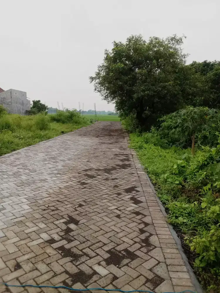 Pasang paving stone spesialis pasang