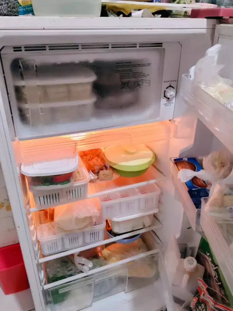 Kulkas sharp 1 pintu