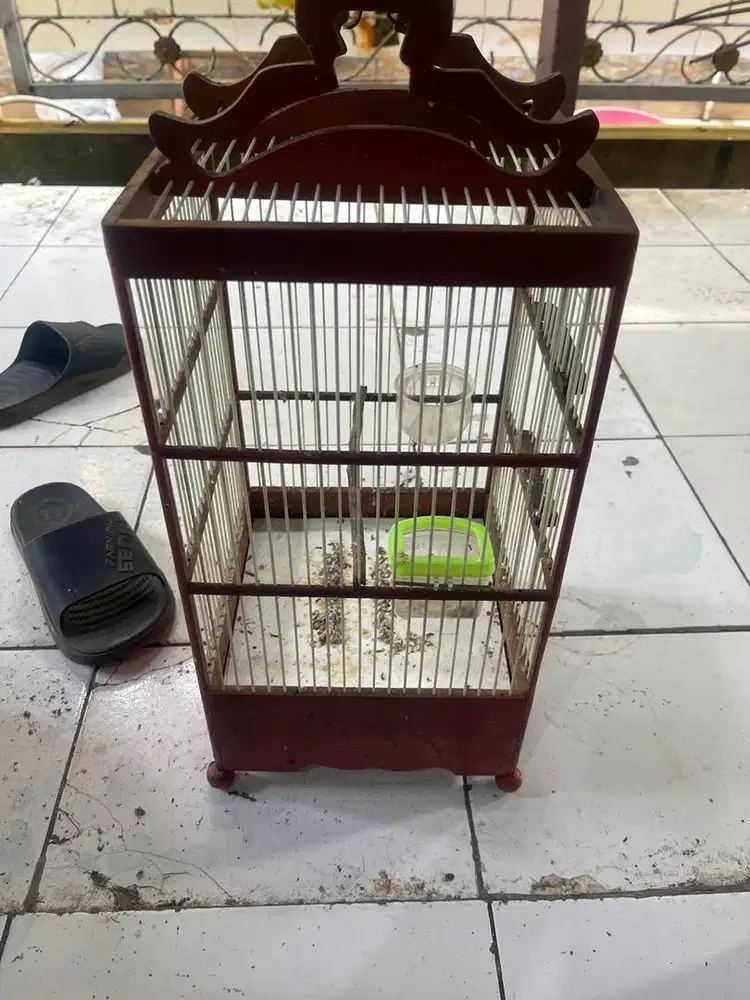 Kandang ukuran 22/22/50