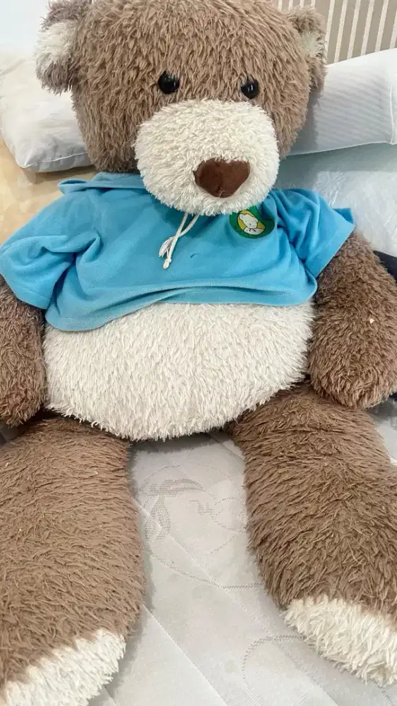 Boneka teddy bear besar