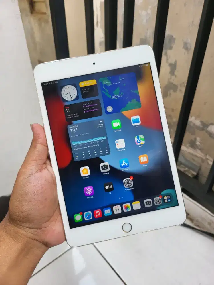 Ipad mini 4 128 Gb Normal