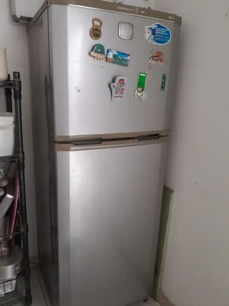 Kulkas 2 Pintu LG EXPRESS COOL