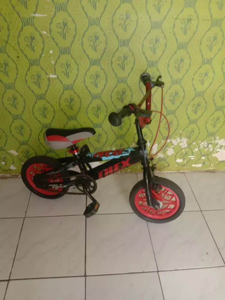 Sepeda anak 12inc