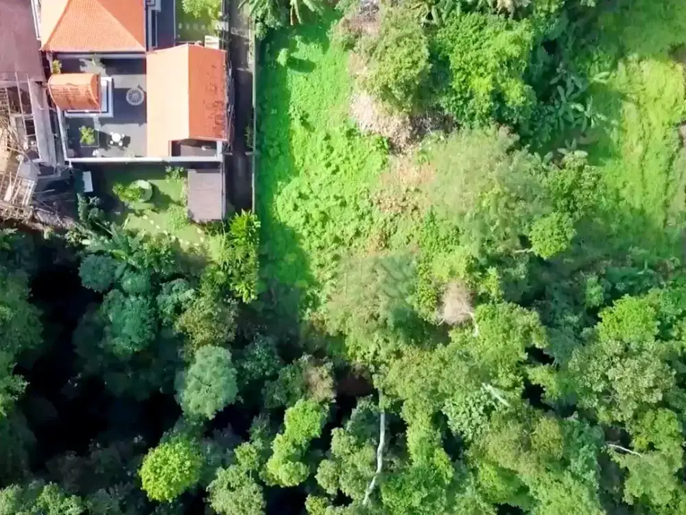 Lahan Hunian Tepi Sungai Seluas 17,5 Are dengan Pemandangan Alami di Buwit (L-TB05)