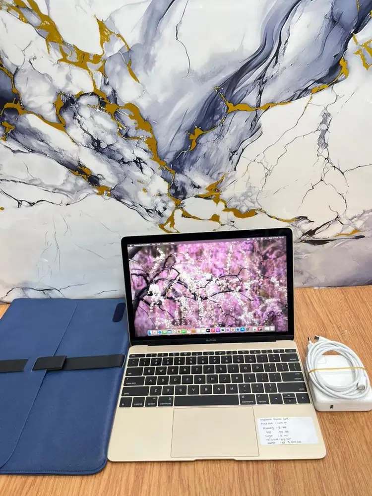 MacBook Retina 13 (2015)