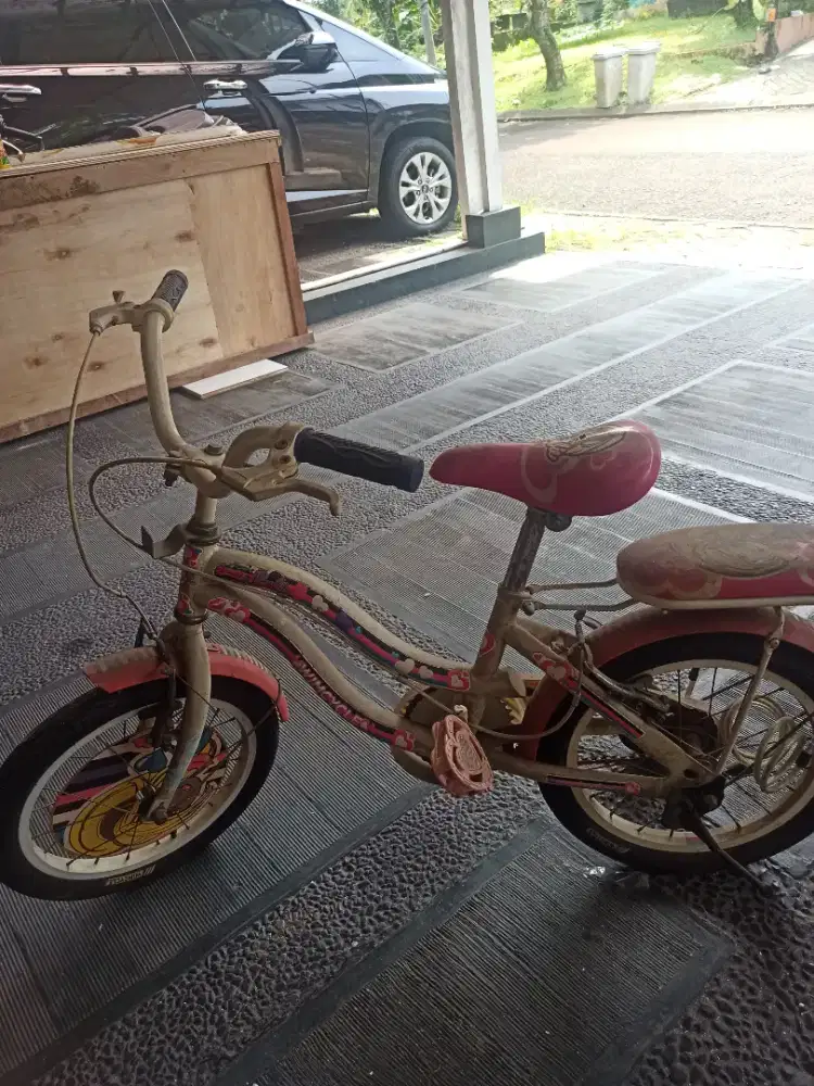 Sepeda Anak Wimcycle Barbie Size Ban 16