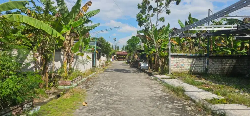 DIJUAL TANAH KAVLING STRATEGIS 0 JALAN DI SOKOWATI, KAPAS – SIAP BANGU