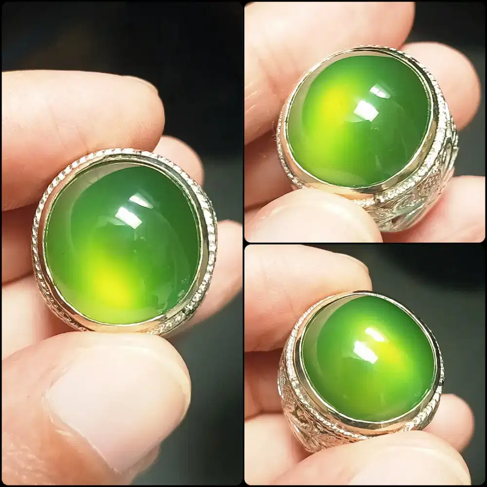 Green Serpentine Pakistan HQ