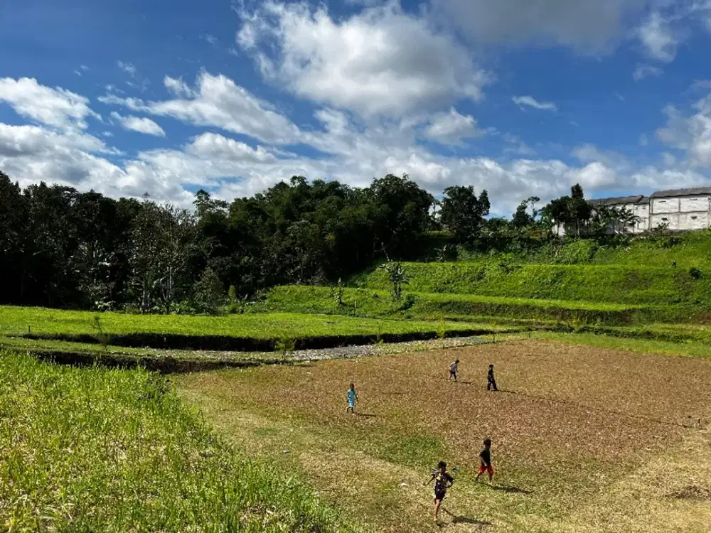 Tanah di puncak luas 250m2 SHM ready balik nama