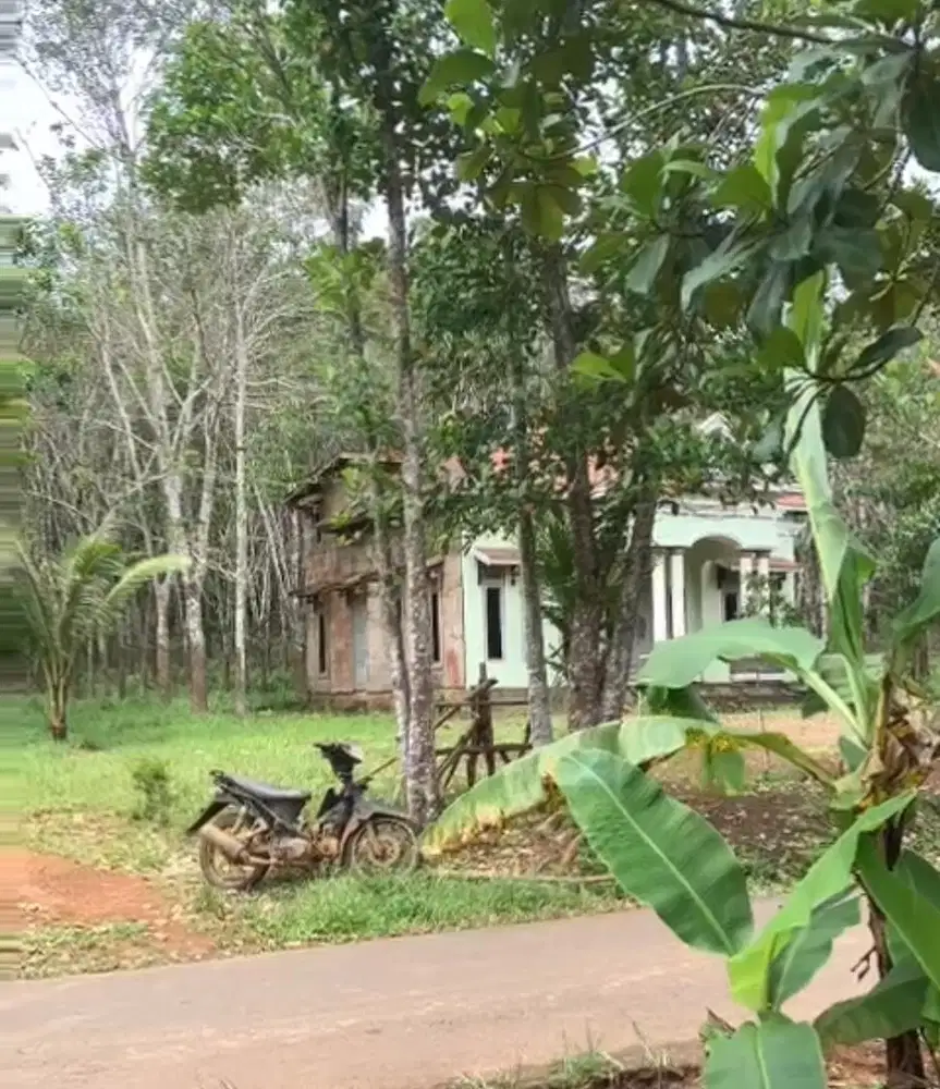 Di jual tanah berbentuk gunung berisi kebun buah(durian,dll)