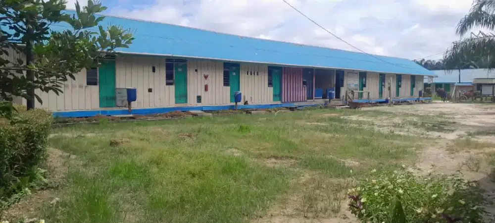 Lowongan kerja perkebunan kelapa sawit