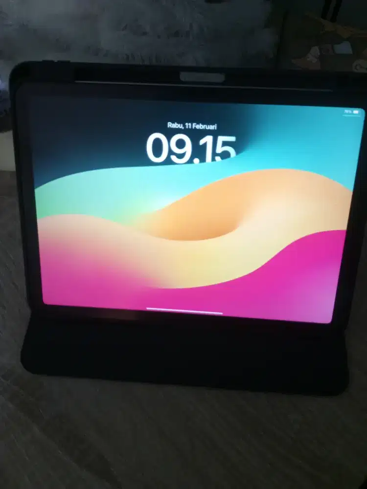 Apple ipad air 256GB