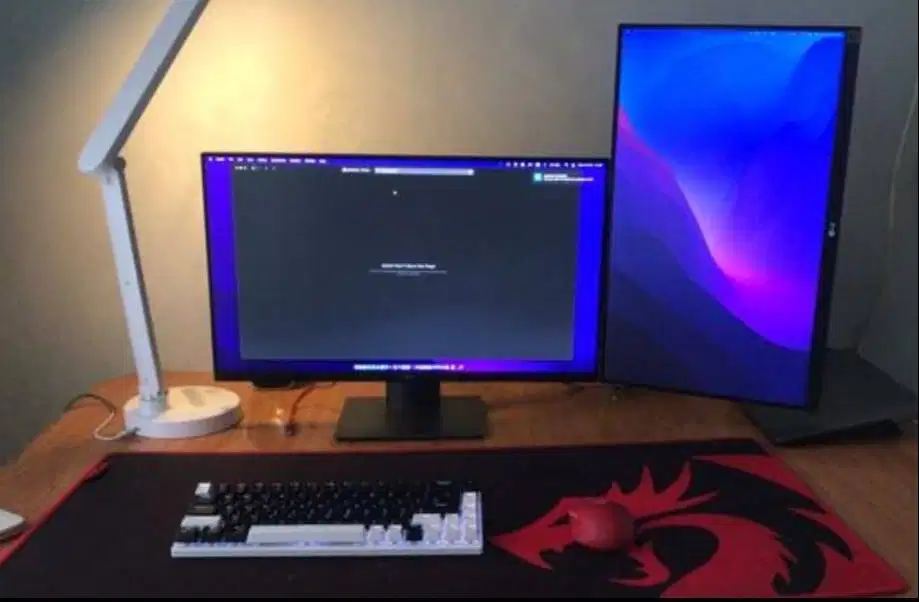 Monitor frameles Dell 24 Inch P2419H sudah IPS,Cocok Untuk Kerja DL-SW