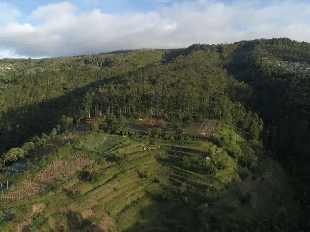 TANAH 10+ HEKTAR LEMBANG – SURGA TERSEMBUNYI UNTUK RESORT & GLAMPING