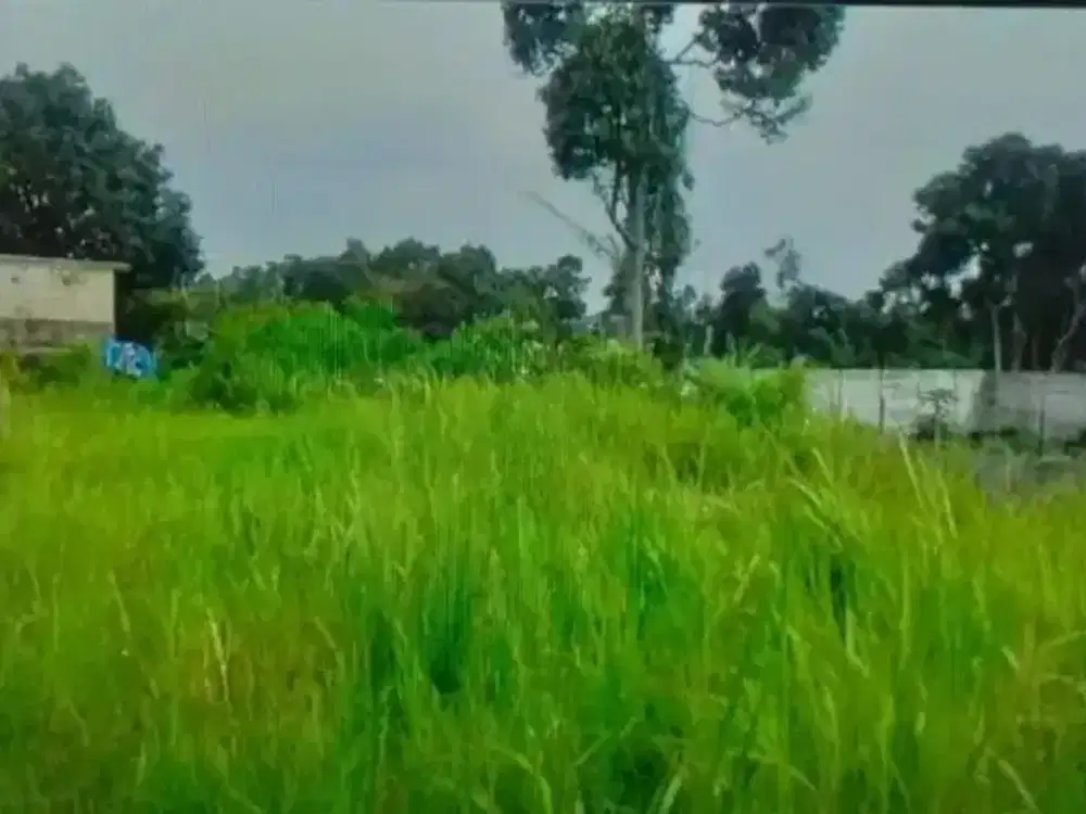 DIJUAL TANAH STRATEGIS DI LEMBANG – INVESTASI EMAS KAWASAN WISATA